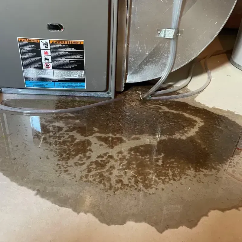 Appliance Leak Cleanup in Spring Valley, NY